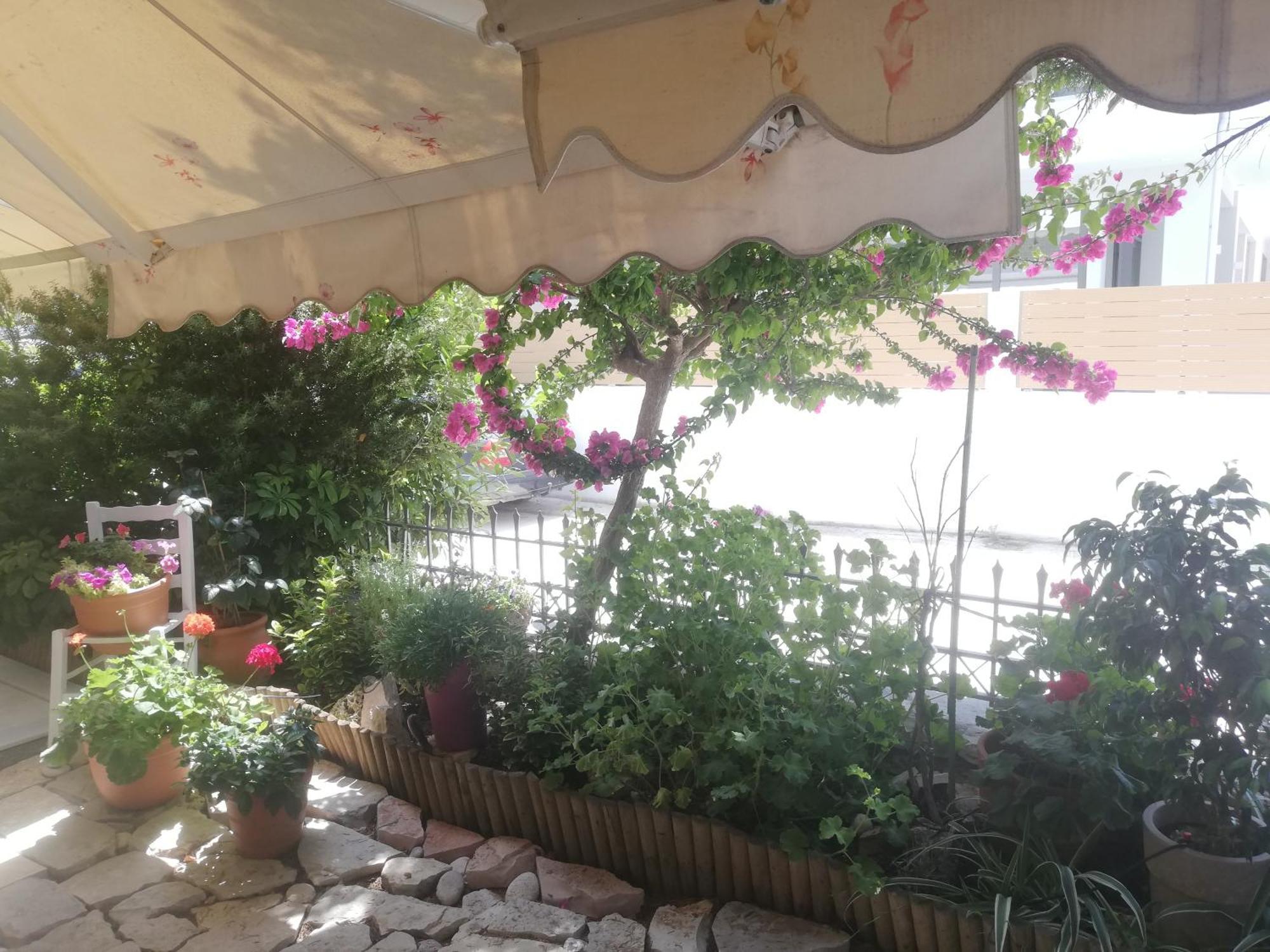 Vkastri City Lefkáda 部屋 写真